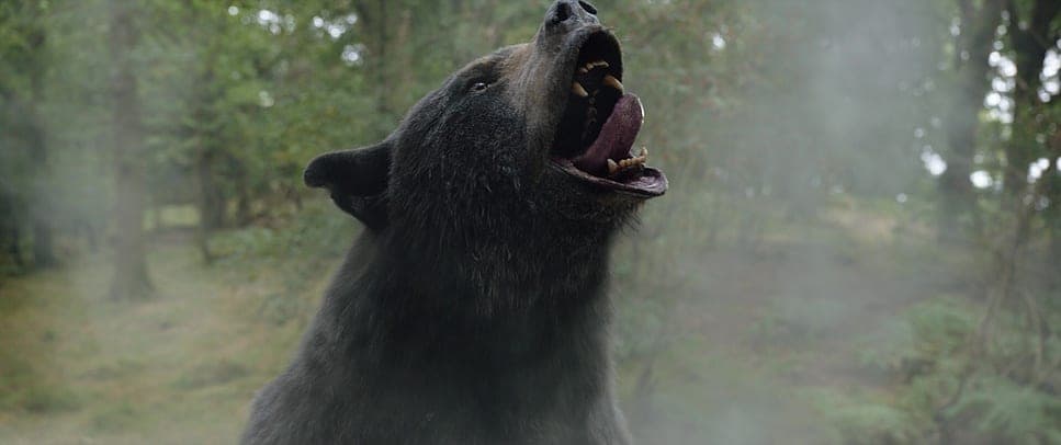 Cocaine Bear